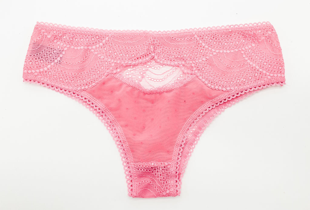 Womens 6 Packs Sheer Underwear Mesh See Thru Hot Brief Panties