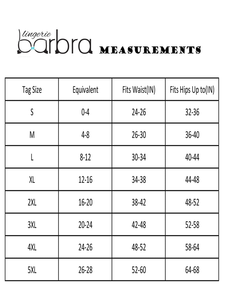 Barbra's Women's Travel Pocket Underwear Girdle Brief Panties S-4XL (2  Pack)